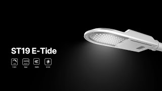 ST19 LED Roadway Light