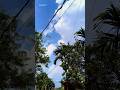 Teri nazron ke sadke | Ruposh | OST Lyricsgirl-t | #song #shorts #lyrics