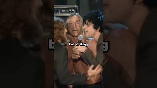 Iggy Pop CRASHED The Rock Hall