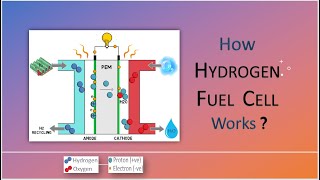 How Hydrogen Fuel Cell Works Fuel Cell Technology Working Principle