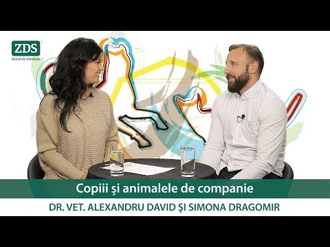 Video: Copil și Animale De Companie: Reguli Simple
