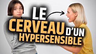 Comment Fonctionne le Cerveau d’un Hypersensible