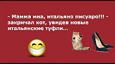 В гостях у Кузи