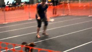 Belgium Open Dog Dogdancing With Gypsie