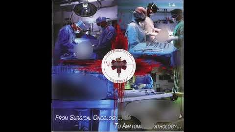 Streptococcus Pyogenes / Anus Tumor / Intestinal Infection / Mixomatosis - 4-Way Split (full split)