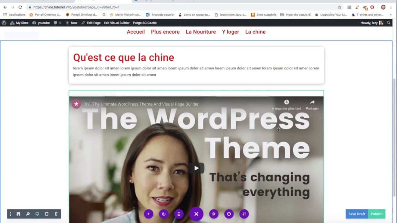 DIVI, les modules interactifs - YouTube