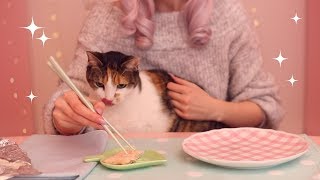 Cat Eating Salmon Mukbang (ASMR with Maymay)