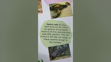 GK Std 3 page no. 8 & 9 Defense mechanism of animals.