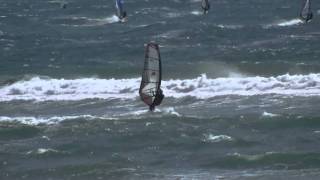 kiku20120212