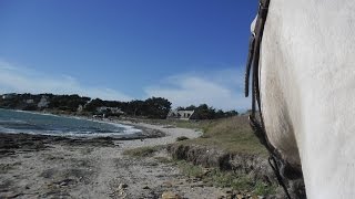 la côte de st Jacques à st Gildas de Rhuys à cheval
