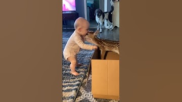 Baby Funny 😂🍼 #funny #fails #baby #kids 🤣🤣🤣