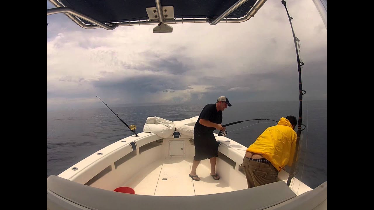 Yellowfin Tuna fishing in Lucaya YouTube