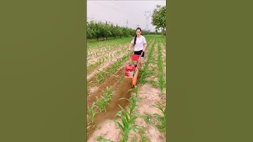 Elderly micro-tillage machine # Gasoline lawn mower is a good helper for farmers