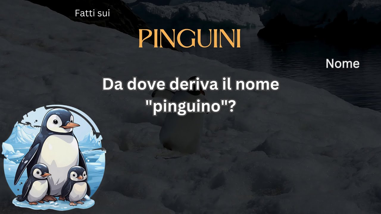 Fatto del Pinguino 2 - "Da dove deriva il nome ""pinguino"""? - YouTube