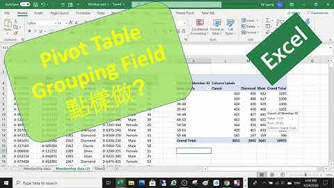 Pivot Table Add Grouping field 點樣做? (廣東話)
