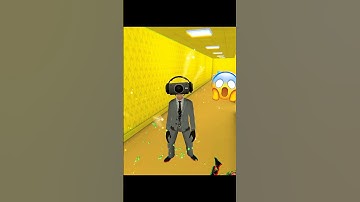 HIDE IN THE BACKROOMS / HIDE IN THE BACKROOM