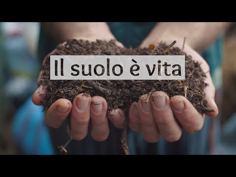 Video: Quale pratica aiuterà a conservare le risorse del suolo?