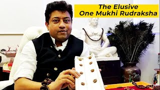 The Elusive One Mukhi Rudraksha by Dr. Tanay Seetha