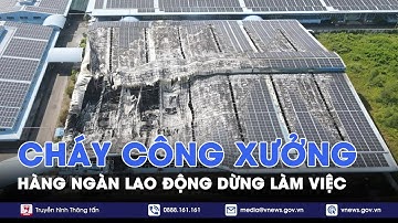 Bà Rịa - Vũng Tàu: Cháy xưởng giày khiến hàng nghìn công nhân phải ngừng làm việc - VNews