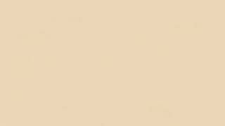 10 MINUTES OF SOLID BEIGE SCREEN 4K Ultra HD | Colorful Background