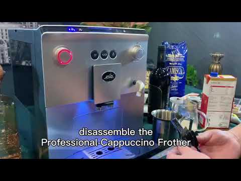 JAVA Fully Auto Coffee Machine WSD18-060: How To Clean The Professional-Cappuccino Frother