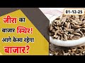 आज का जीरा भाव: जीरा बाज़ार स्थिर—आगे कैसा रहेगा रुख? | Jeera Bhav Today