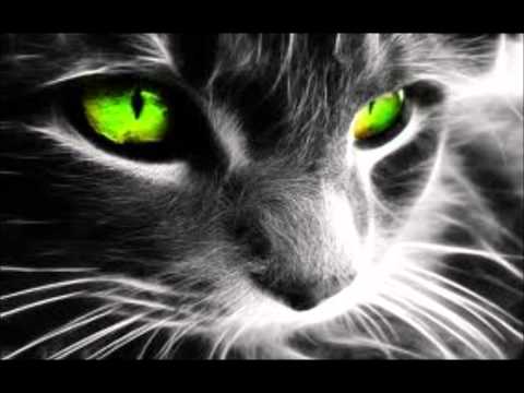 Seeed- "Augenbling" [HD]