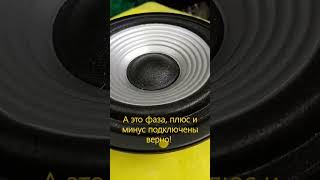 Как должен играть динамик в акустической системе #shorts #teaching  #tips #itswork