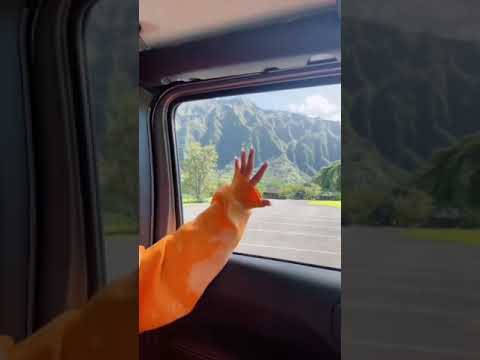 Bella Poarch tic tok bella poarch tik tok #приколы #смех #GeForceGTX