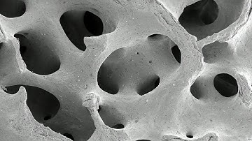 Creating Bones From Glue | Bang Goes The Theory | Earth Science