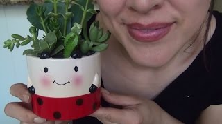 SassEsnacks ASMR  | How to Plant a Succulent Garden in a Pot | Whispers | Head Tingles