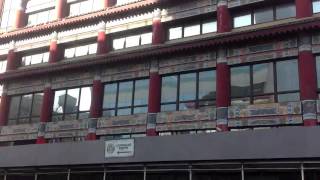 Full Vlog | Chinatown, Dinosaurios y Empire Estate Guide