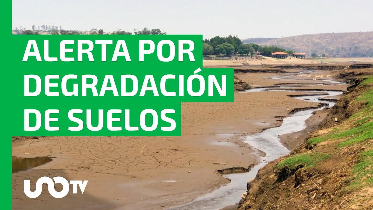 Más del 70% del territorio mexicano sufre degradación de suelos - YouTube