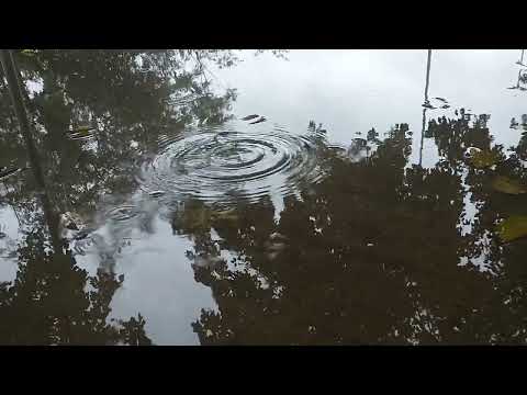 Som de Chuva com Vento para Relaxar