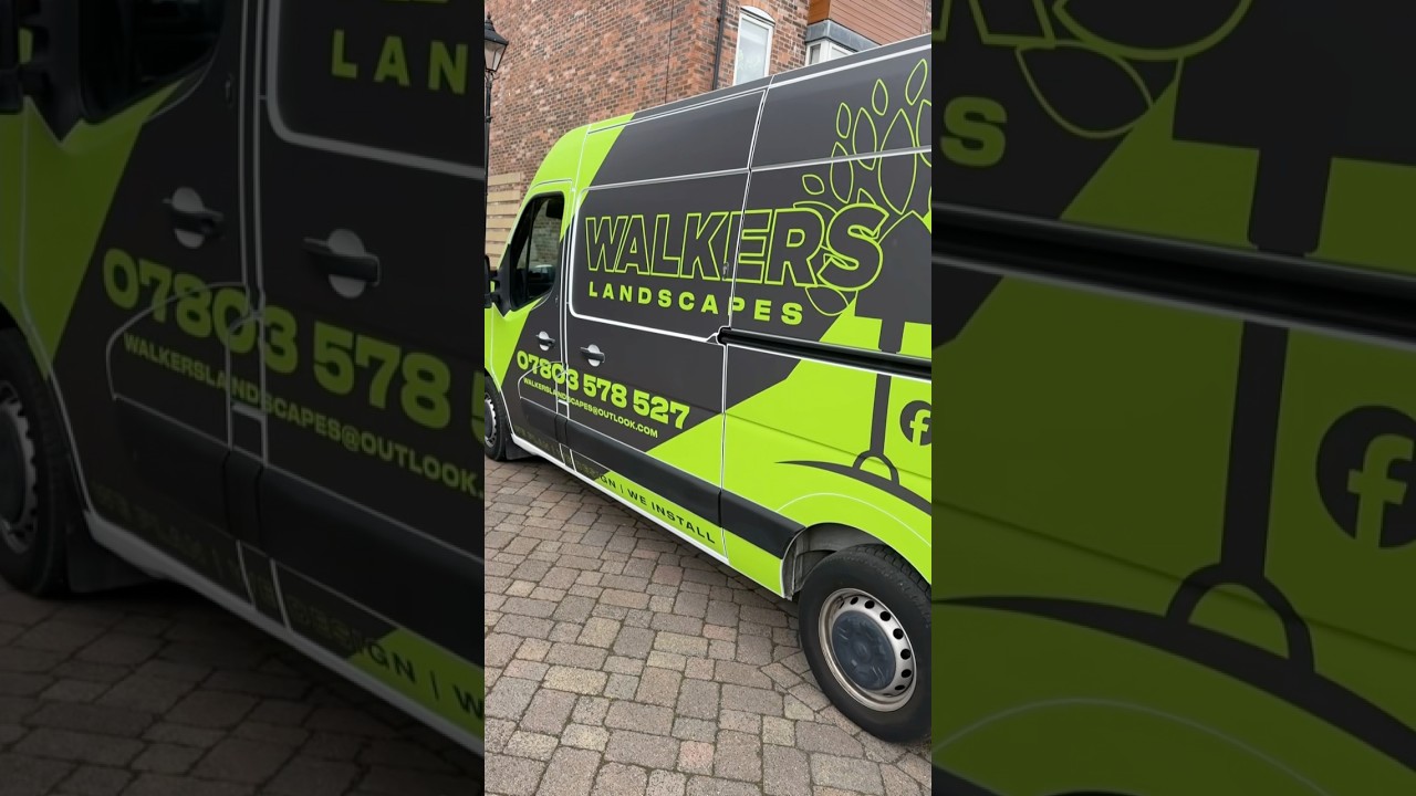 NEW VAN TIME 🌳🫡 