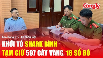 TỐI 14/10: Công an phong tỏa khối tài sản 900 tỷ đồng trong vụ án tiền số Antex của Shark Bình