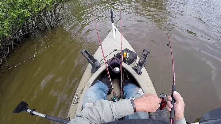 David Catching an Alligator Gar