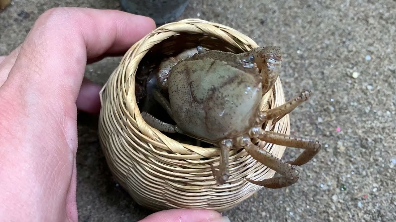 Braised Brass Crab With Piper lolot True Country Taste - Roasted Crab | Mini Cooking House