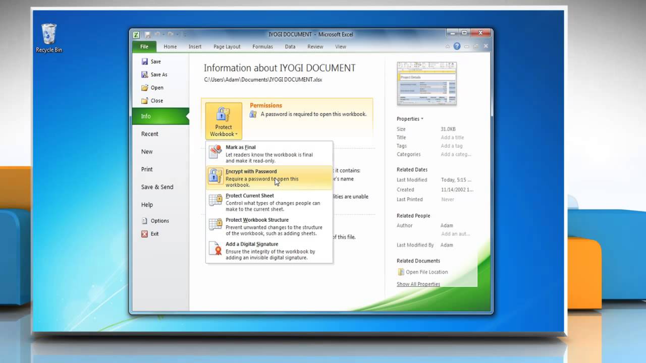 excel remove password protection 2010
