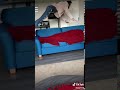 Girl Jumping On Sleep Boy 