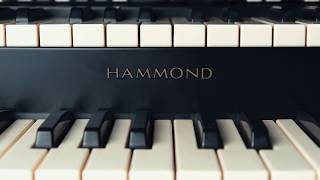 Hammond B-3X for Mac/PC - Next-level virtual organ screenshot 4