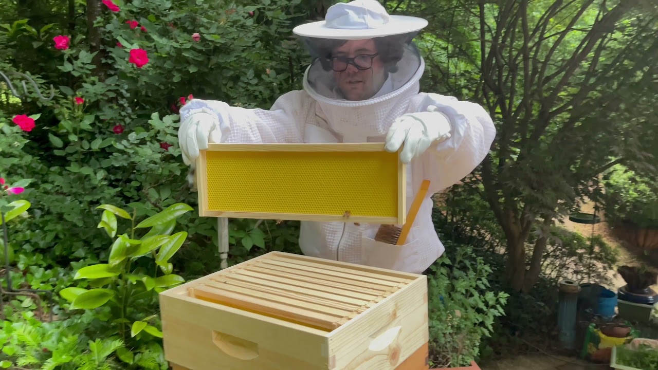 Adding a Second Brood Hive to the Flow Hive 2