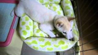 20100628-2.mp4
