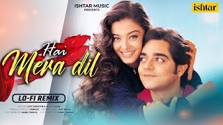 Hai Mera Dil | LO-FI Remix | Aishwarya Rai \u0026 Chandrachur Singh | Josh | Udit N. \u0026 Alka Yagnik