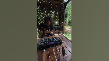 Pixies - Where is my Mind? - Boss RC-505 MKII loop cover #guitar  #rolandartist