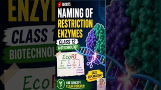 Naming of Restriction Enzymes #rdt #class12biotechnology #class12 #biotechnology #biotech #class12th