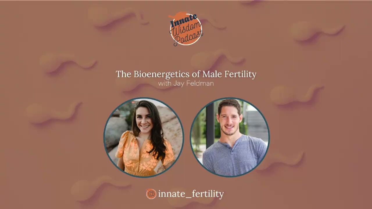 The Bioenergetics of Male Fertility