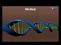 DNA and RNA: Understanding Genetic Material and Replication