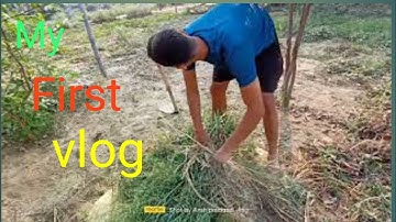 How to viral my first vlog ?.@Aditya.Vlog.27