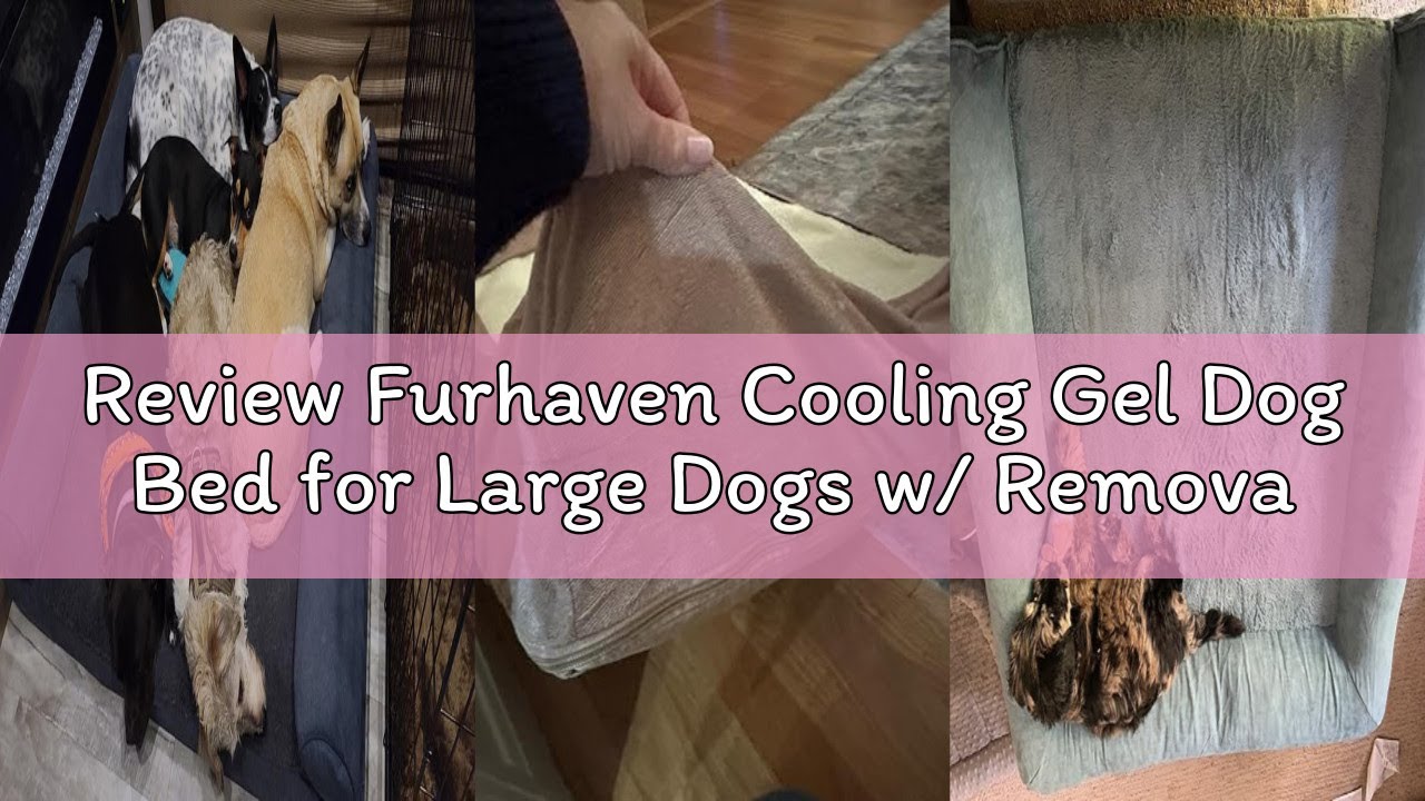 Review Furhaven Cooling Gel Dog Bed for Large Dogs w/ Removable Bolsters & Washable Cover, For Dogs